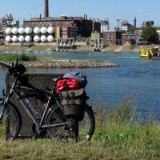 1208F 121 Neckar Muendung Rhein